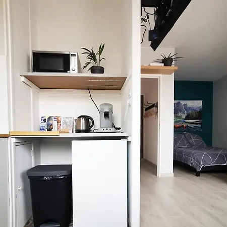 Cosy 30M In The Heart Of Villeurbanne Extérieur photo